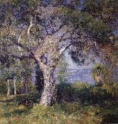 Guy Rose The Oak china oil painting reproduction